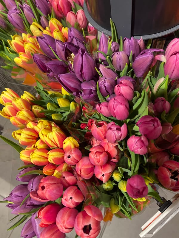 Colorful tulip display observed at unknown commercial location