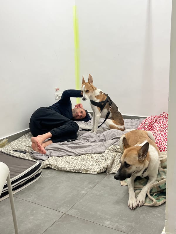 Couple documented in Tel Aviv apartment during evening hours