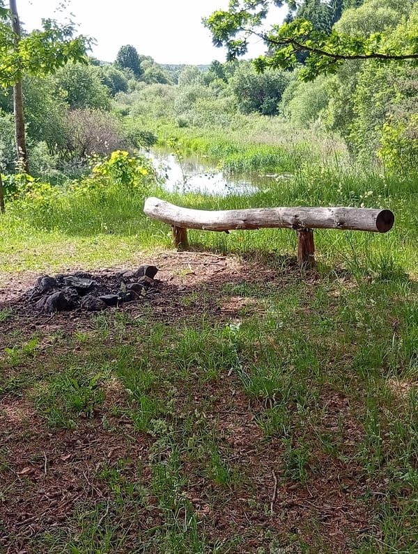 Morning nature walk documented in rural Lithuania forest and fields