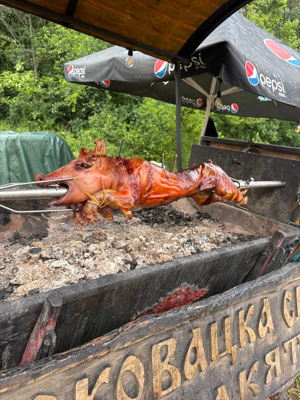 Traditional cooking and livestock scenes documented in Bulgarian town