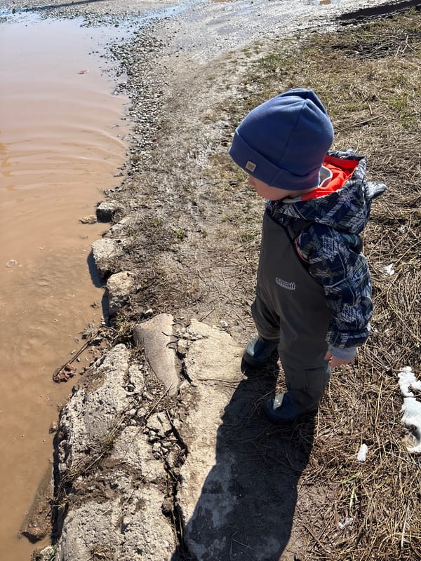 Spring flooding creates muddy street conditions in Ferma, Russia