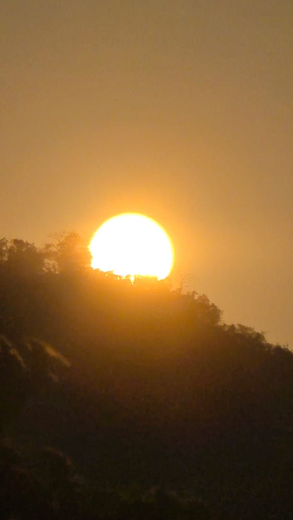 Golden sunset observed through vegetation at Vietnam heritage area