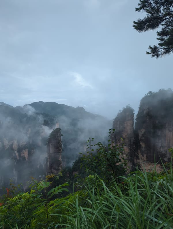 Misty karst pillars rise from a valley in Luoguta, China