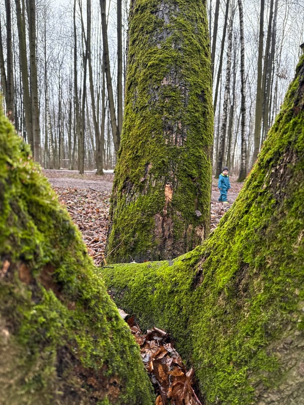 Morning moments documented across Rusanovo, Russia locations