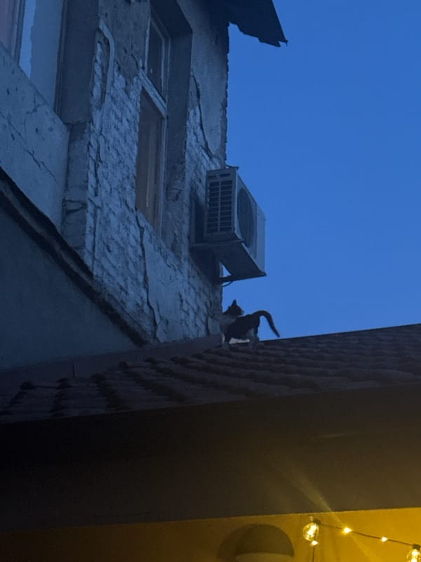 Twilight photography session captures aging Belgrade architecture from below