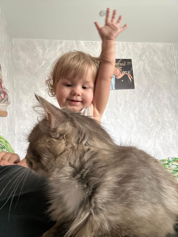 Children play with cat, trampoline in Russian village backyard