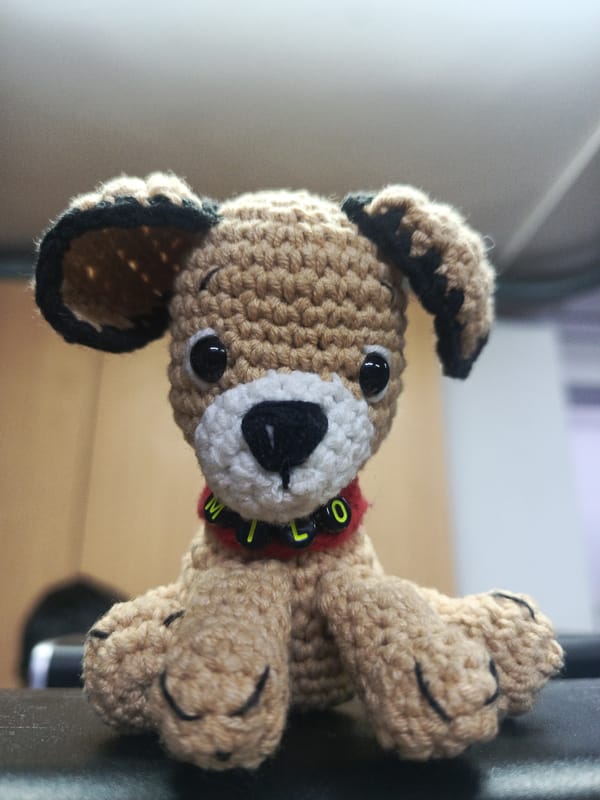 Craft items and collectibles documented in Guayaquil home