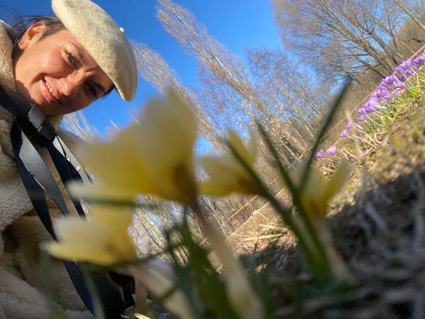 Morning park scenes with woman, dogs, spring flowers in Moscow