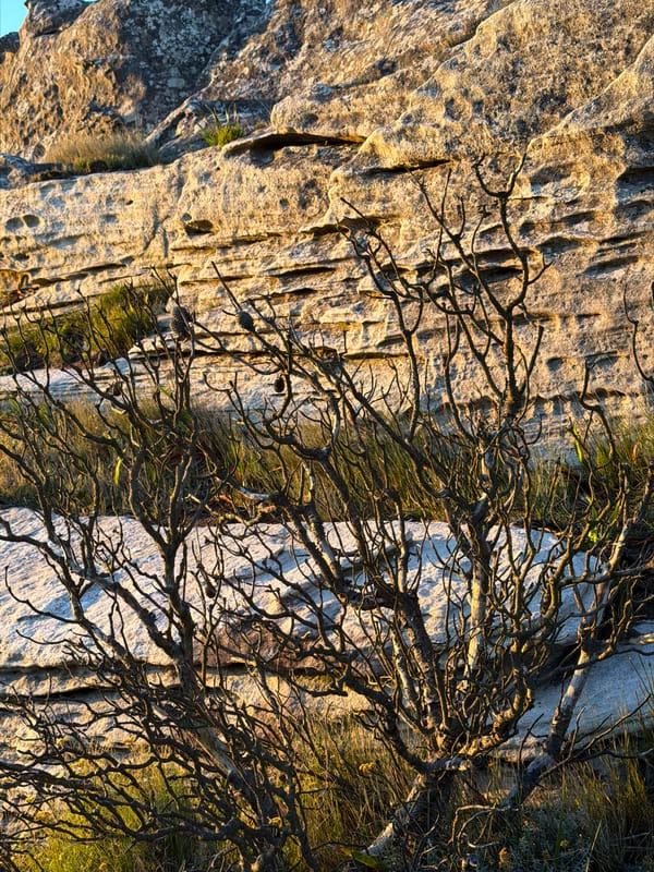 Golden hour sunset captured along Cape Town coastline