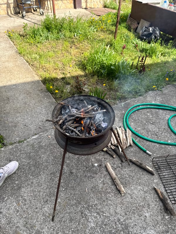 Small fire and dead lizard documented in Bulgarian village