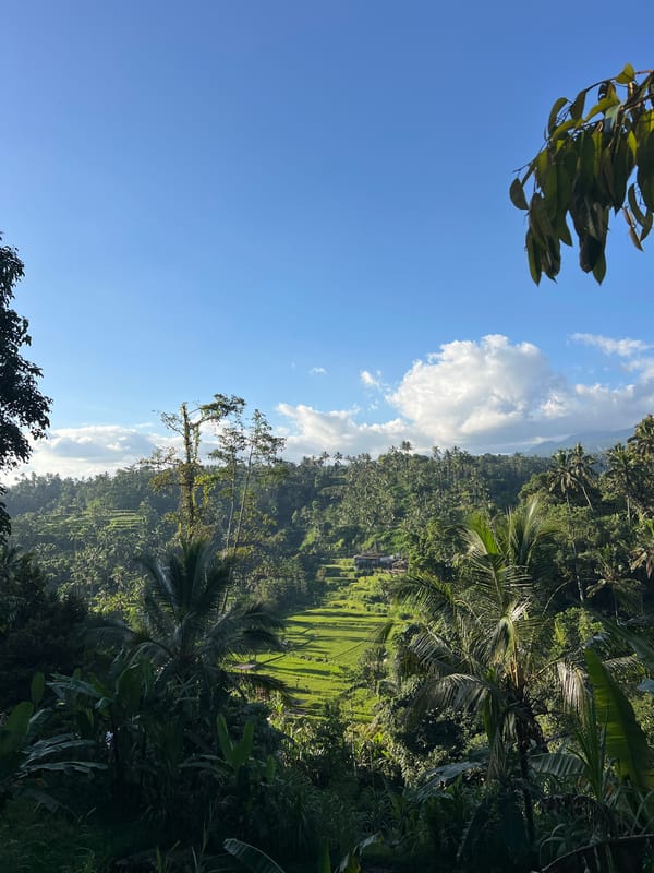 Morning agricultural life documented in Rendang Indonesia rice terraces