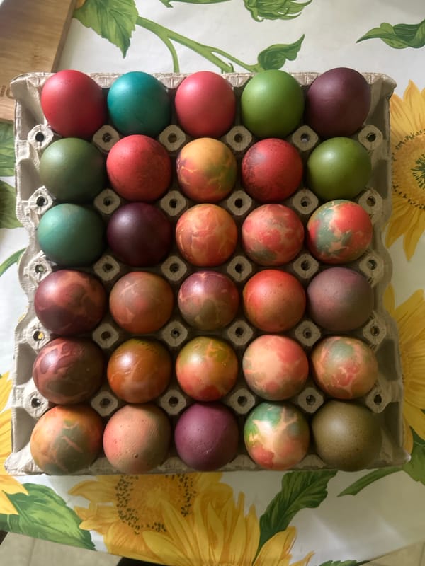 Easter egg dyeing session documented in Pleven, Bulgaria