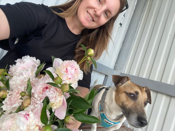 Afternoon with peonies and dog around Noviy, Russia