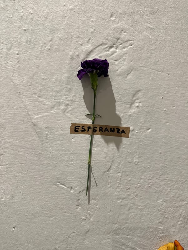 Witness documents Madrid architecture during afternoon walking tour