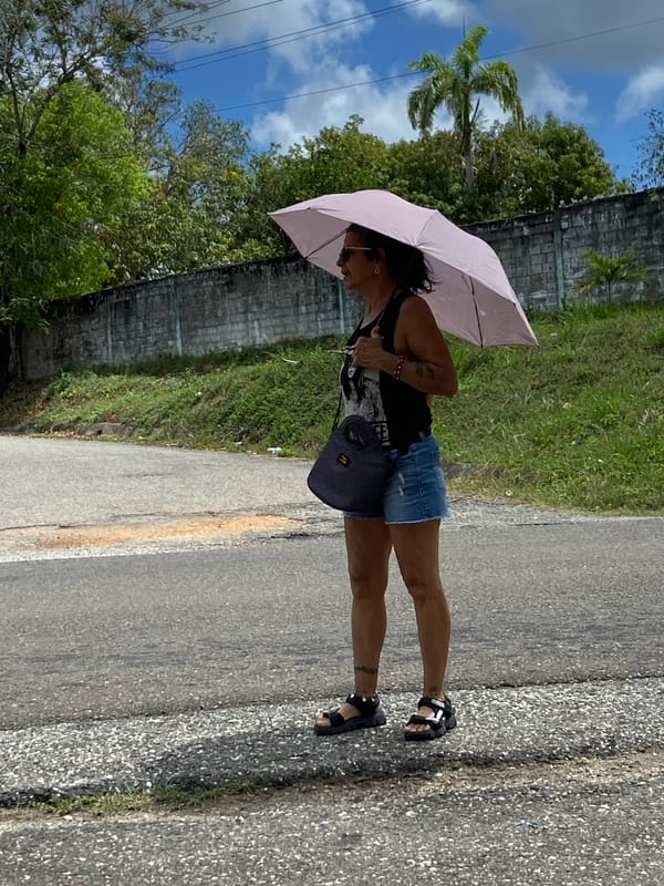 Person with pink umbrella spotted on Venezuelan road