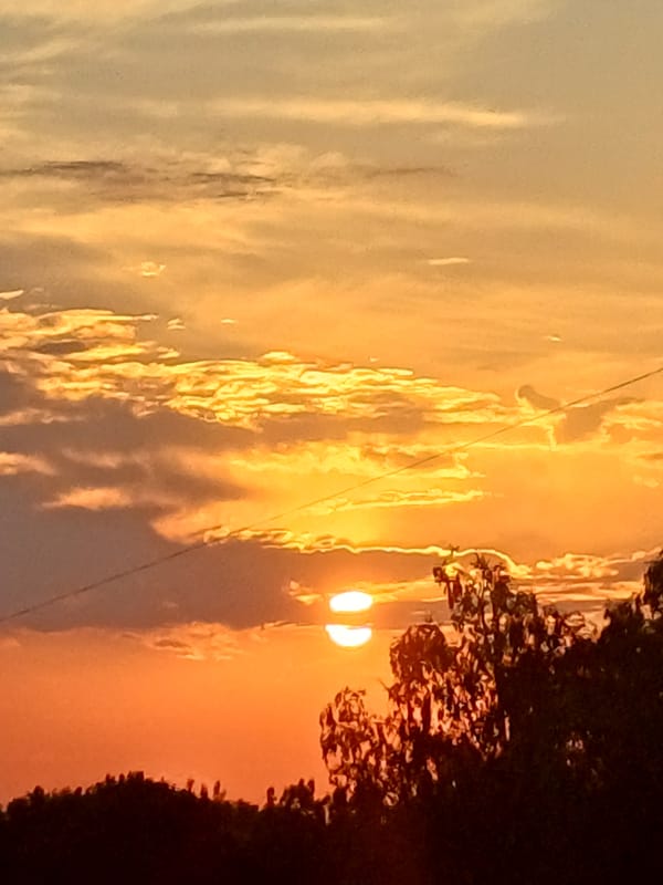 Warm summer sunset over Riga's suburban treeline