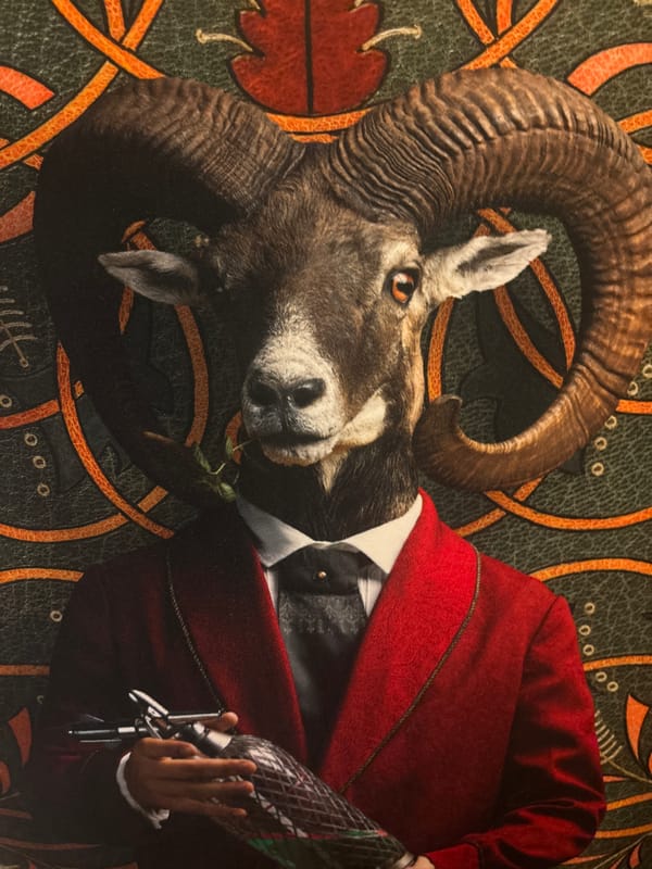 Artistic Installation Featuring Taxidermy and Vintage Decor Elements Documented