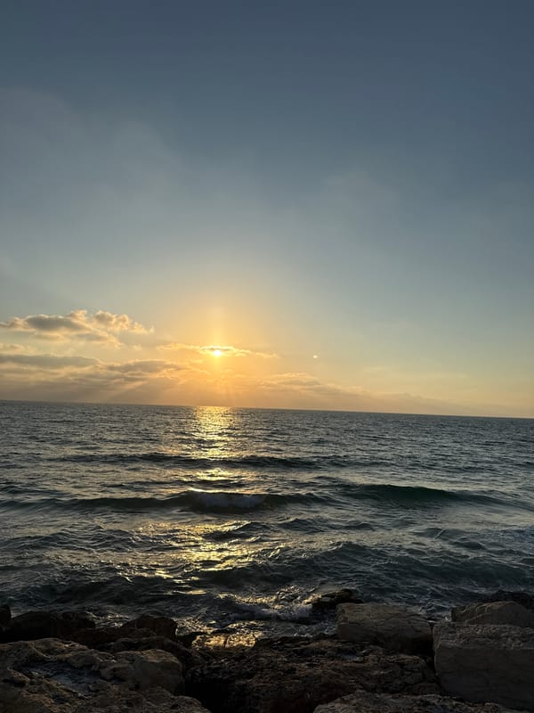 Tel Aviv waterfront comes alive at golden hour