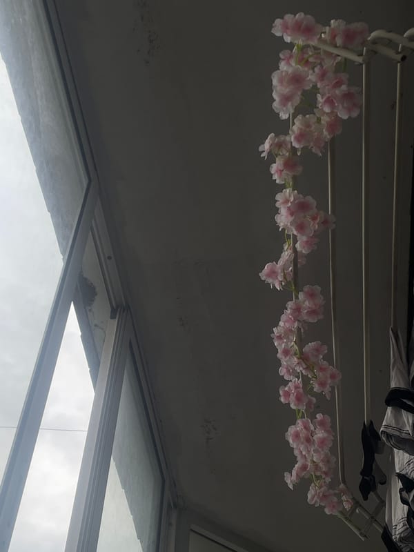 Russian resident documents home decorations featuring artificial blossoms, anime posters
