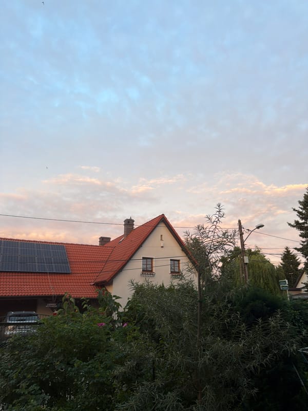 Quiet afternoon at a Szczecin home, cat included