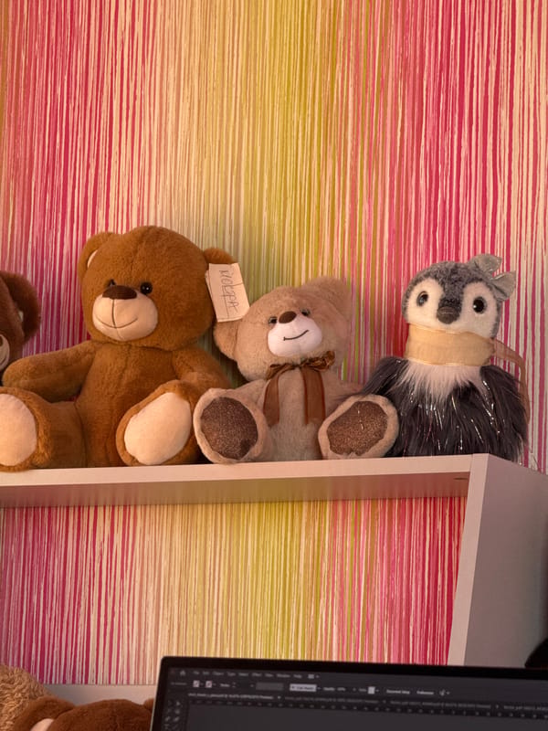 Stuffed toy displays documented in Bulgaria morning hours