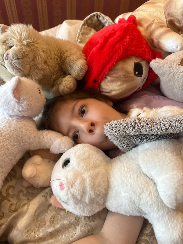 Girl plays with stuffed animals, woman makes sandwich in Esenyurt