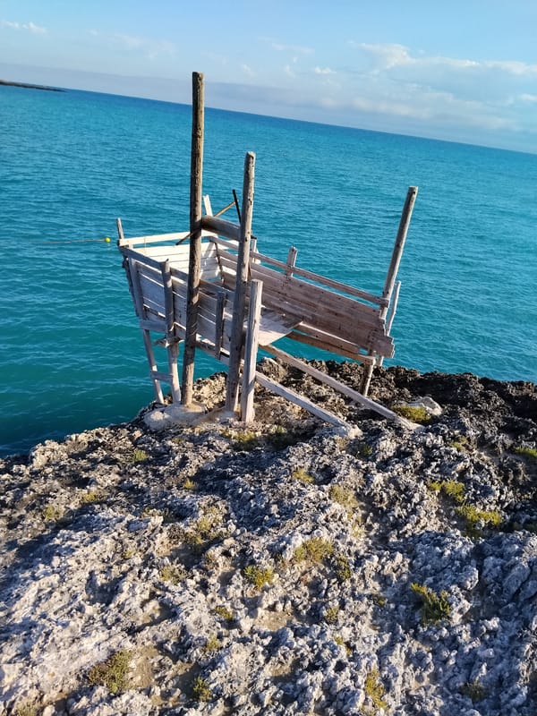 Exploring Vieste's trabucco coastline and Adriatic shoreline