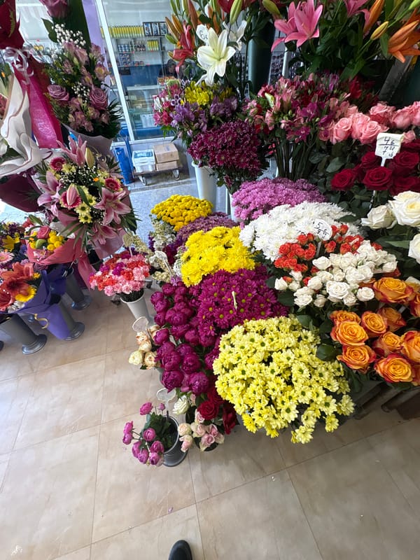 Sofia resident documents flower shop and forest path scenes