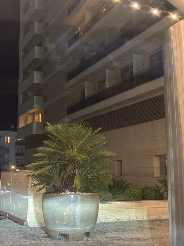 Nighttime architectural scene with landscaping observed in Sirius, Russia
