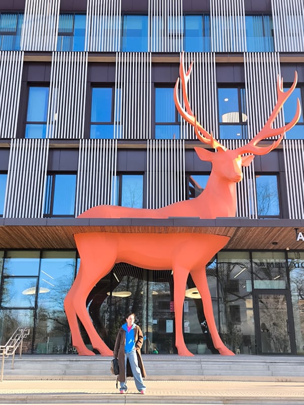 Woman photographed at children's hospital with colorful animal sculptures
