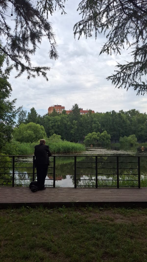 Lazy summer morning at a Saint Petersburg lakeside park