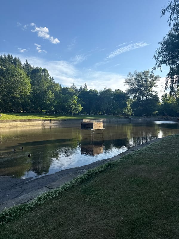 Woman visits park waterway with ducks in Blagoevgrad