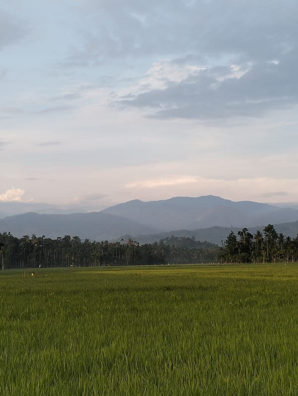 Sunset rural scenes documented in Meunasahalue, Indonesia