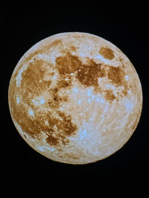 Quiet domestic moments captured in Simferopol home