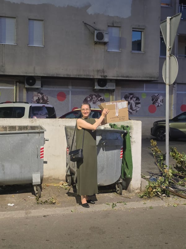 Disposing of cardboard box at street trash receptacles in Podgorica