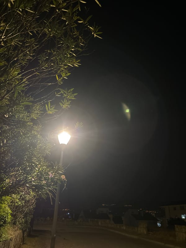 Nighttime street scenes documented across Vila Real, Portugal