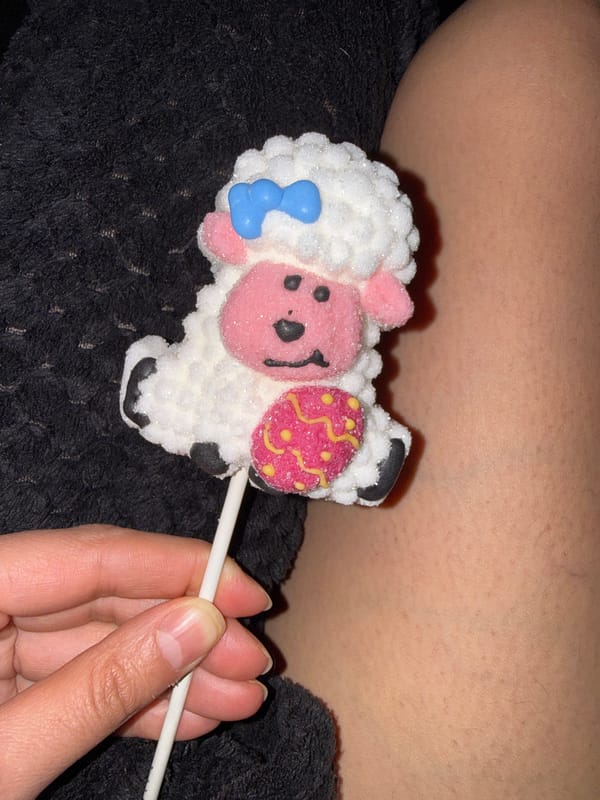 Evening meal with animal lollipops documented in Great Yarmouth