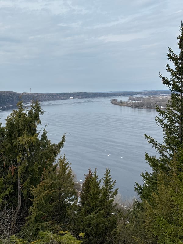 Elevated view captures water body with snow patches, evergreens