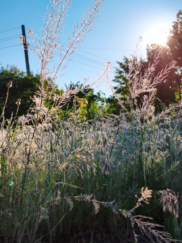 Morning walk through rural Ustyvytsia countryside captured in 16 moments