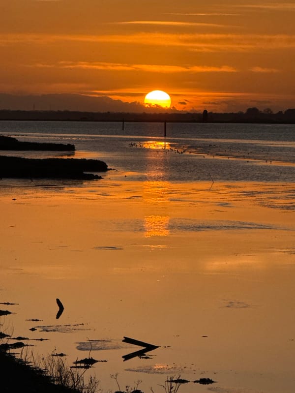 Sunset documented over Great Yarmouth waters with spring wildlife