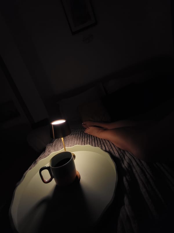 Quiet evening moments documented in Budva home