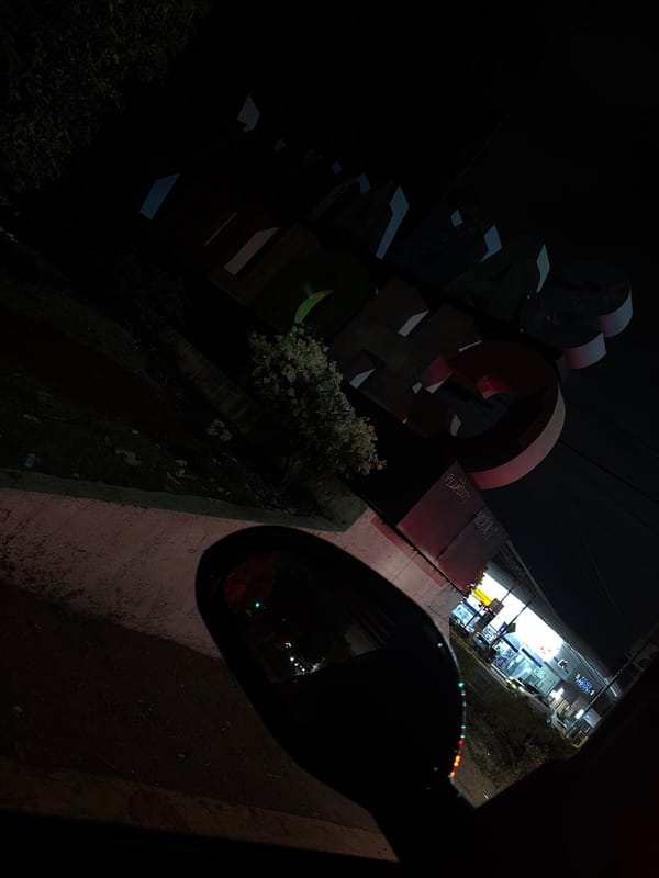 Nighttime street scene and pet grooming captured in Puebla area