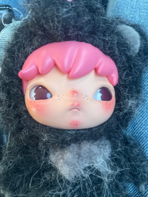 Pink-haired doll spotted in car lap in Denpasar