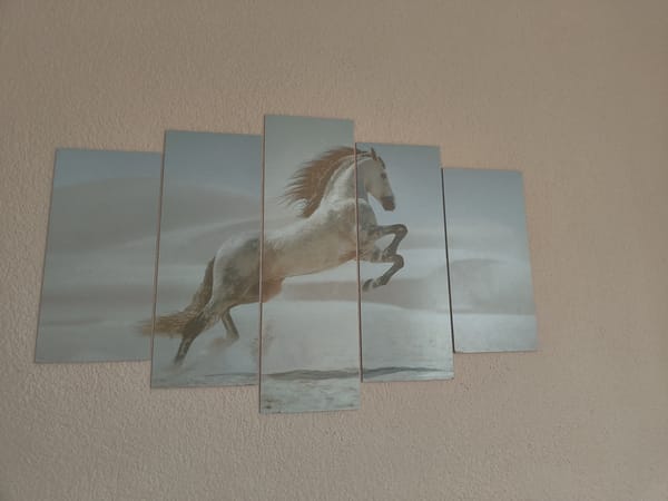 Morning household interiors documented in Nova Zagora, Bulgaria