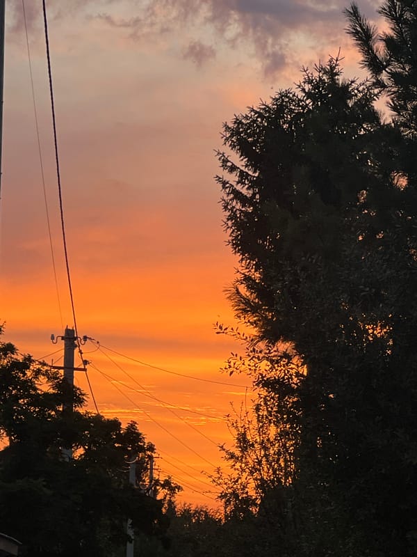 Sunset over a quiet Russian village, all sky and wooden houses.