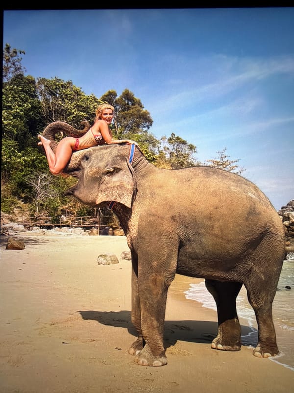 Woman photographed with exotic animals in Hamburg outdoor sessions