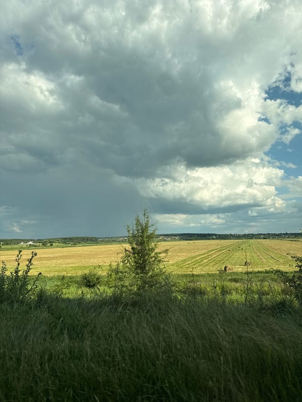 Summer storm skies over harvested fields in rural western Kyiv region