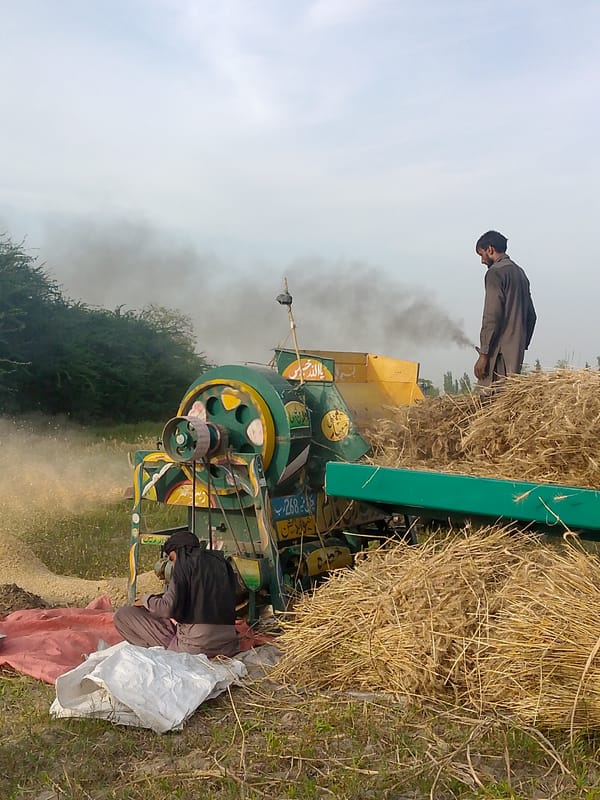 Wheat threshing operation documented in Karamsar, Pakistan fields