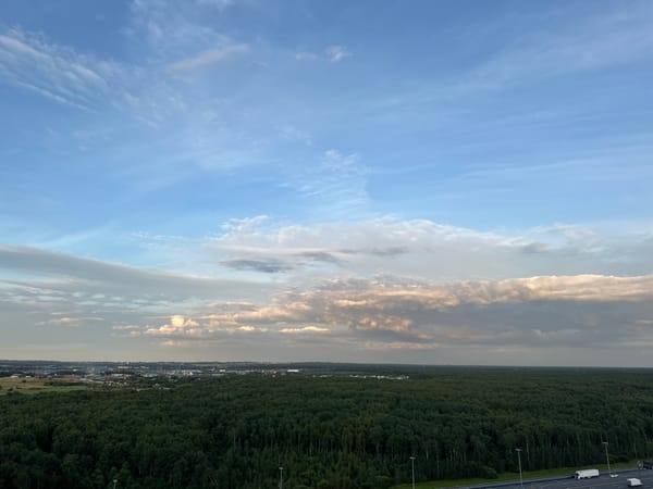 City skylines, forest highways, and dusk skies at golden hour