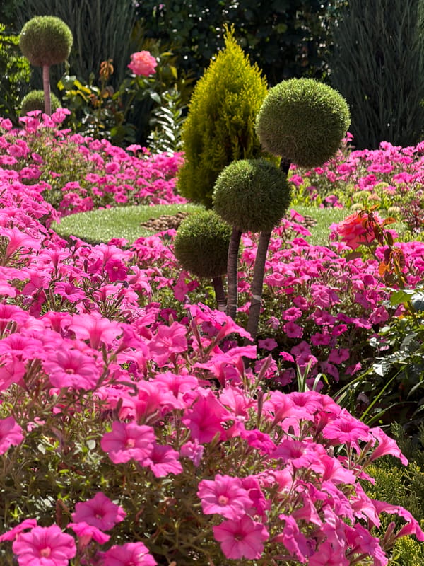Colorful garden details: flowers, succulents, and rock waterfalls